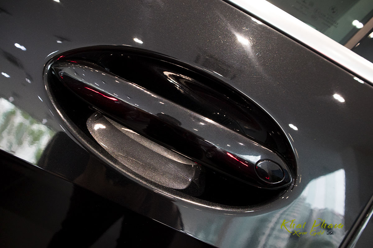 Ảnh tay nắm cửa xe BMW X5 xDrive40i 2020 1