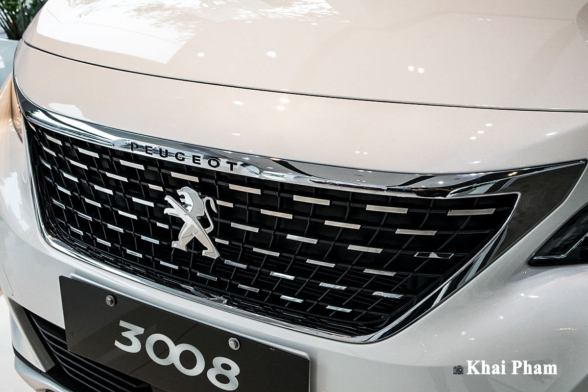 Ảnh Lưới tản nhiệt xe Peugeot 3008 2020