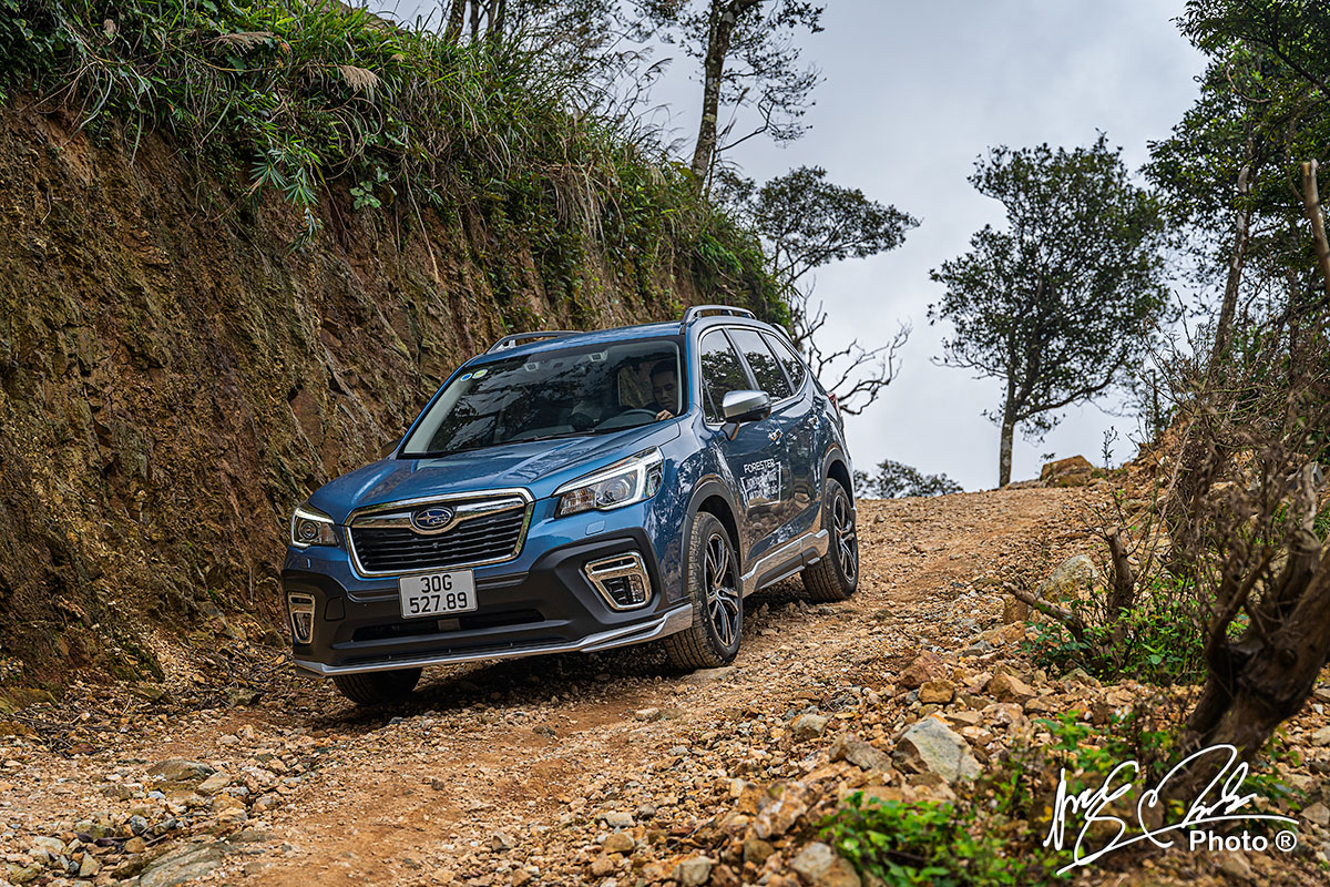 Subaru Forester là một mẫu SUV hạng C thường xuyên được giảm giá Subaru Forester là một mẫu SUV hạng C thường xuyên được giảm giá.