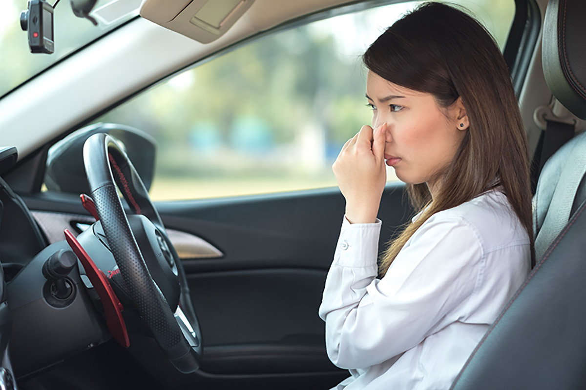 Nấm mốc có thể khiến xe có mùi khó chịu và gây mất thẩm mỹ.