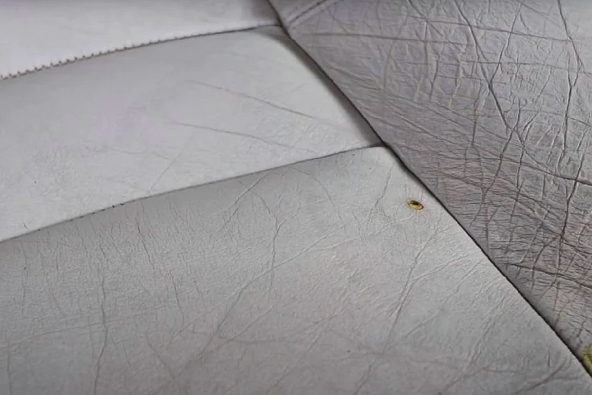 Những thói quen dễ khiến ghế da ô tô bị nứt.