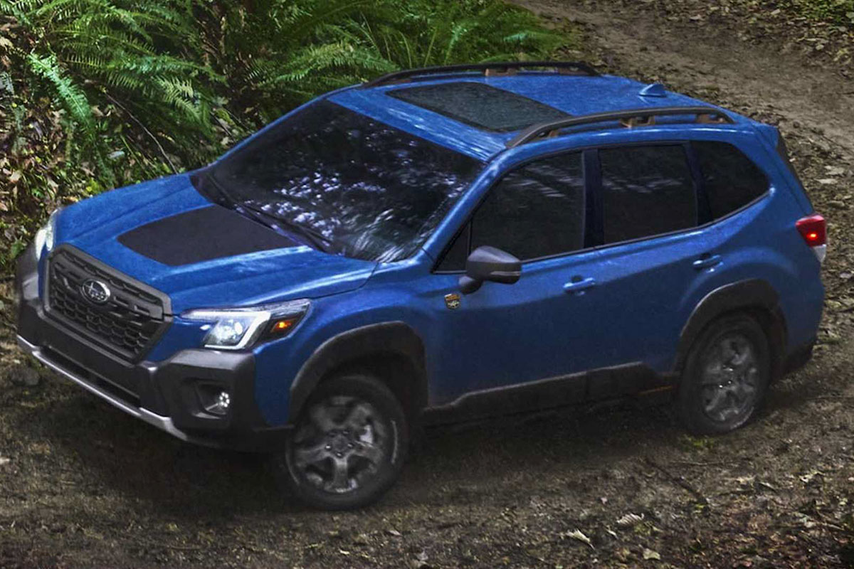 Subaru Forester Wilderness mới nhận được một loạt các nâng cấp để trở nên tốt hơn so với Forester tiêu chuẩn 1.