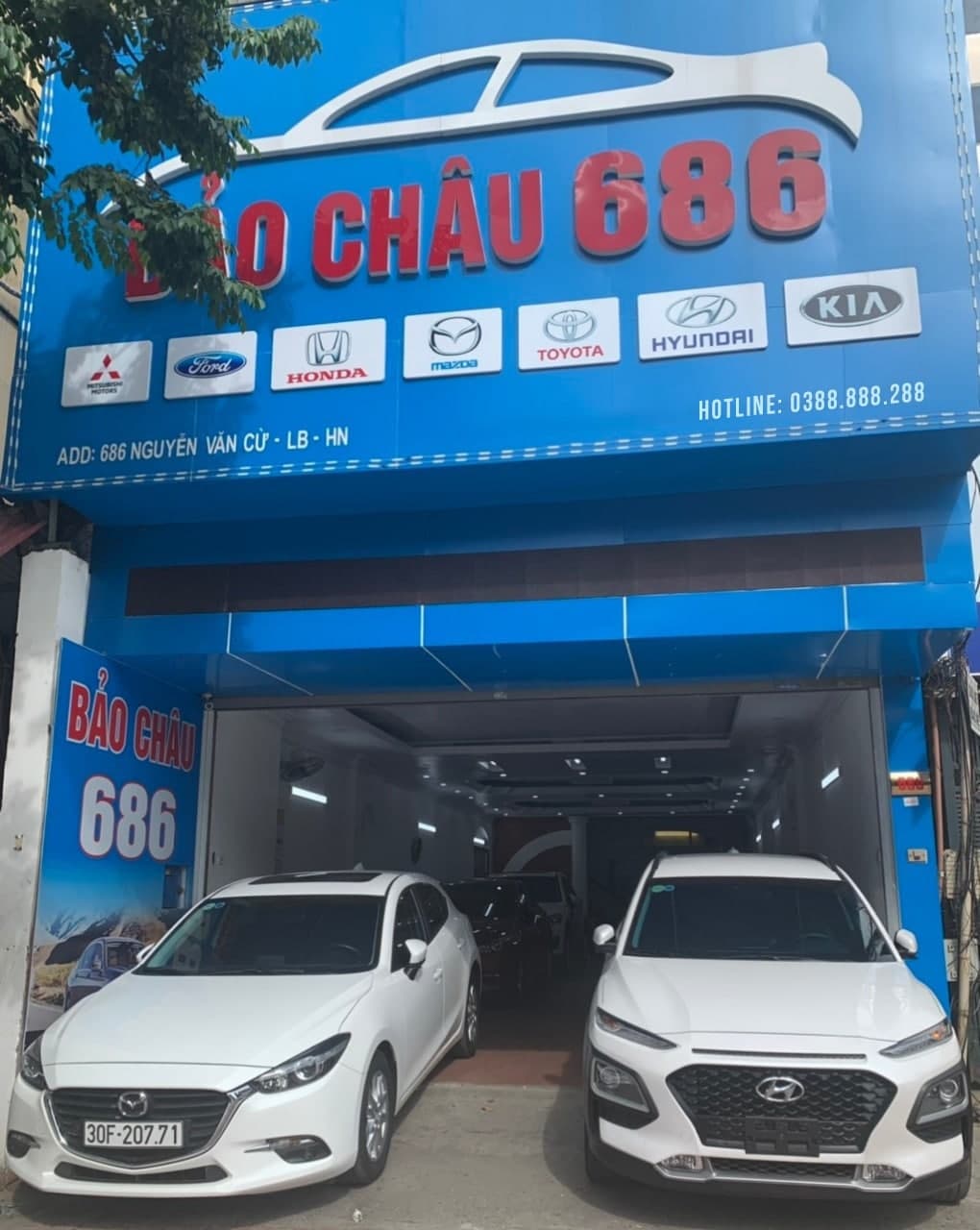 Bảo Châu 686 (1)