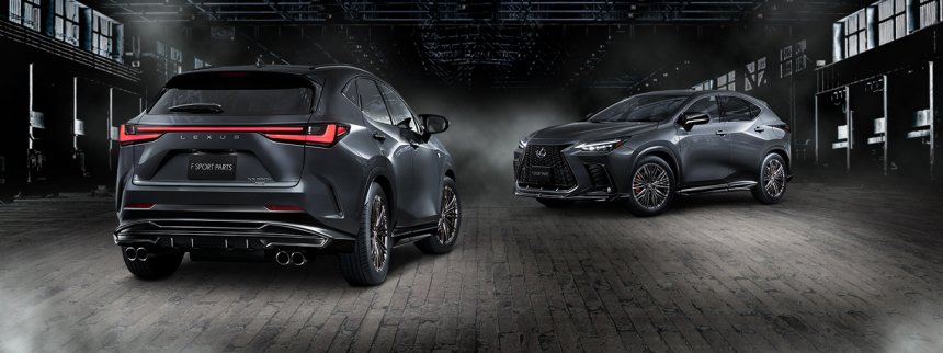 Lexus NX với phụ kiện TRD Lexus NX với phụ kiện TRD.