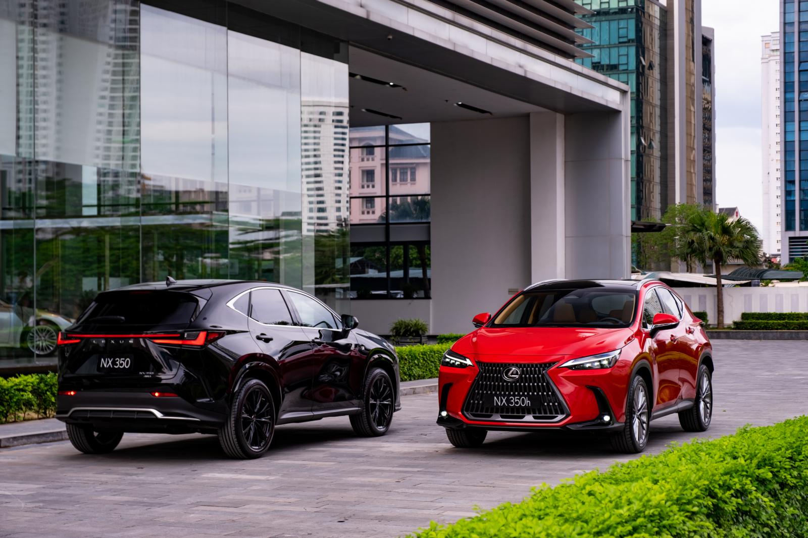 Thông tin xe Lexus NX 350 2022.