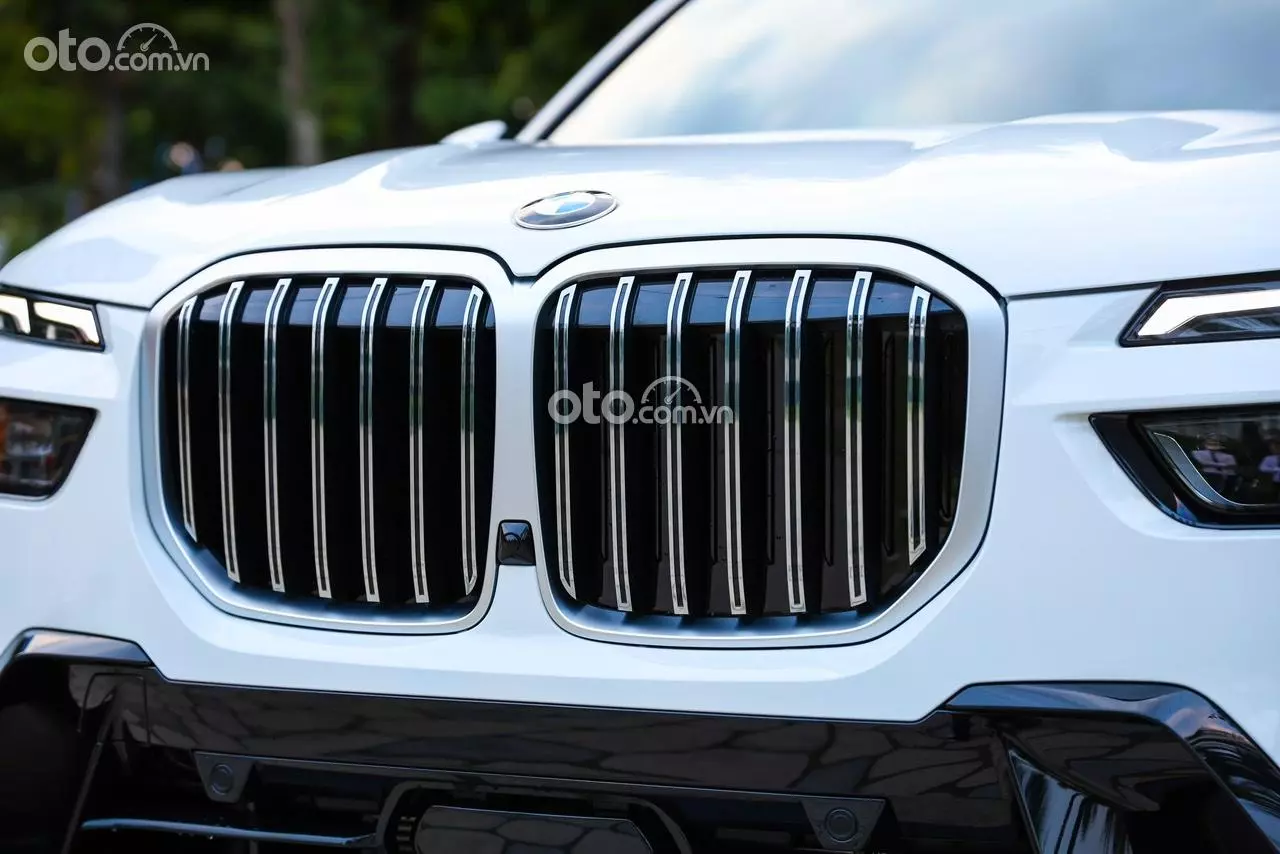 lưới tản nhiệt xe BMW X7.