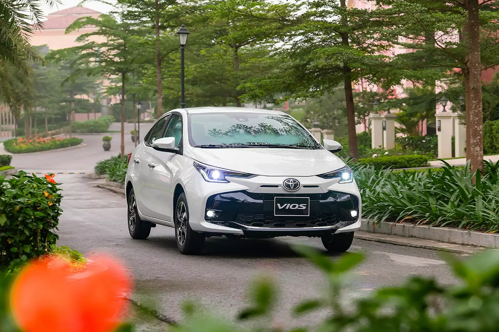 Toyota Vios: 1.556 xe 1