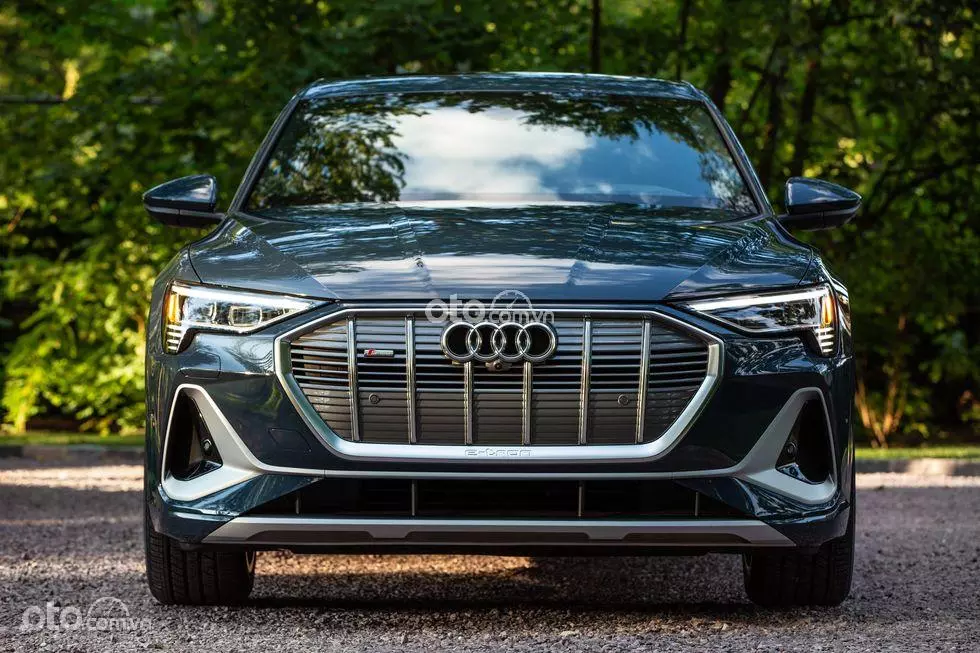 lưới tản nhiệt xe Audi e-tron.