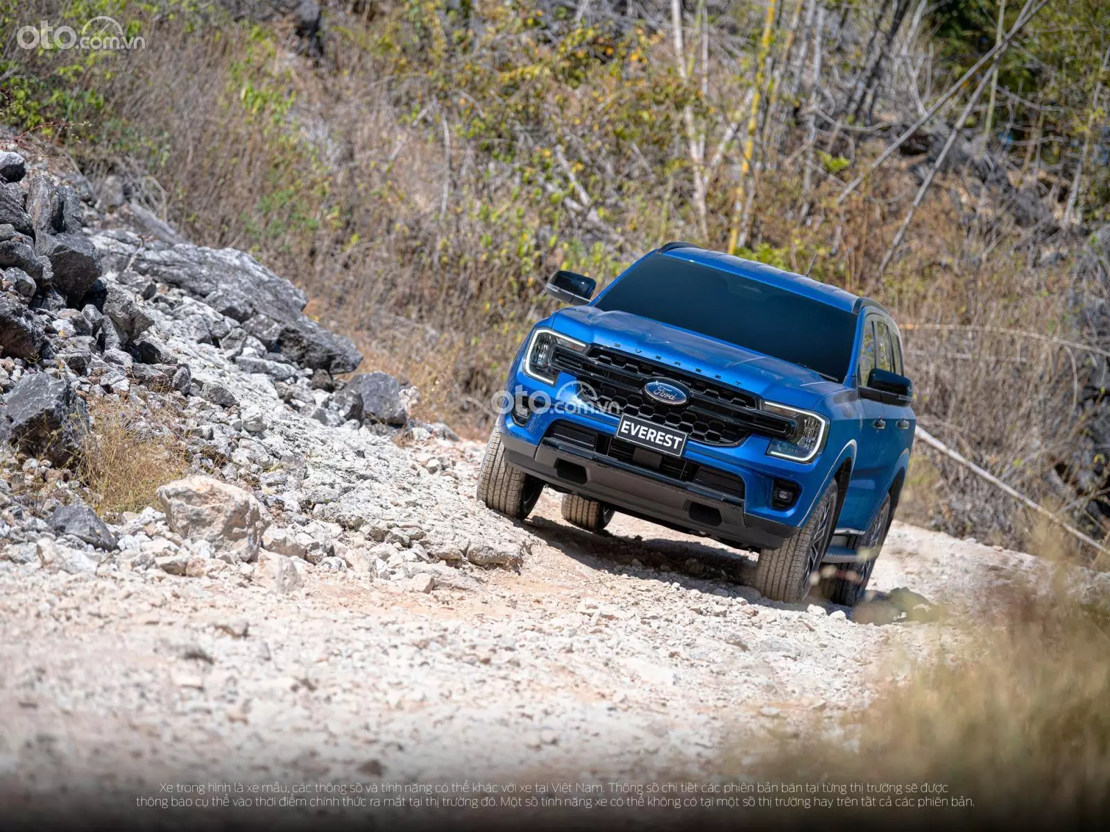 Xe Ford Everest​ 2022.