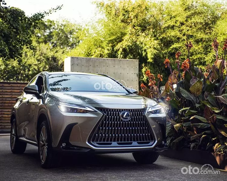 An toàn Lexus NX 350 2022 An toàn Lexus NX 350 2022.