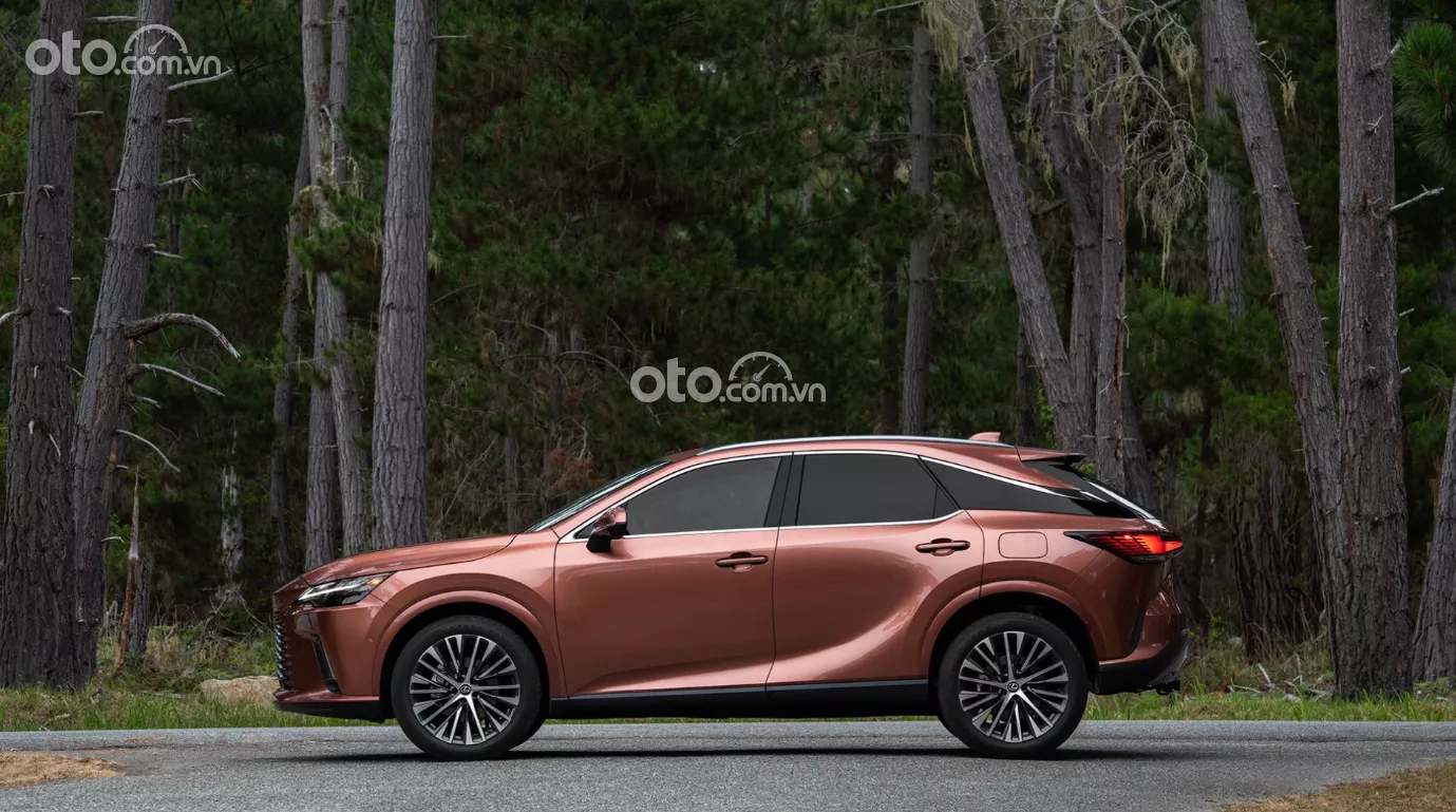 Thân xe Lexus RX 350 2023.