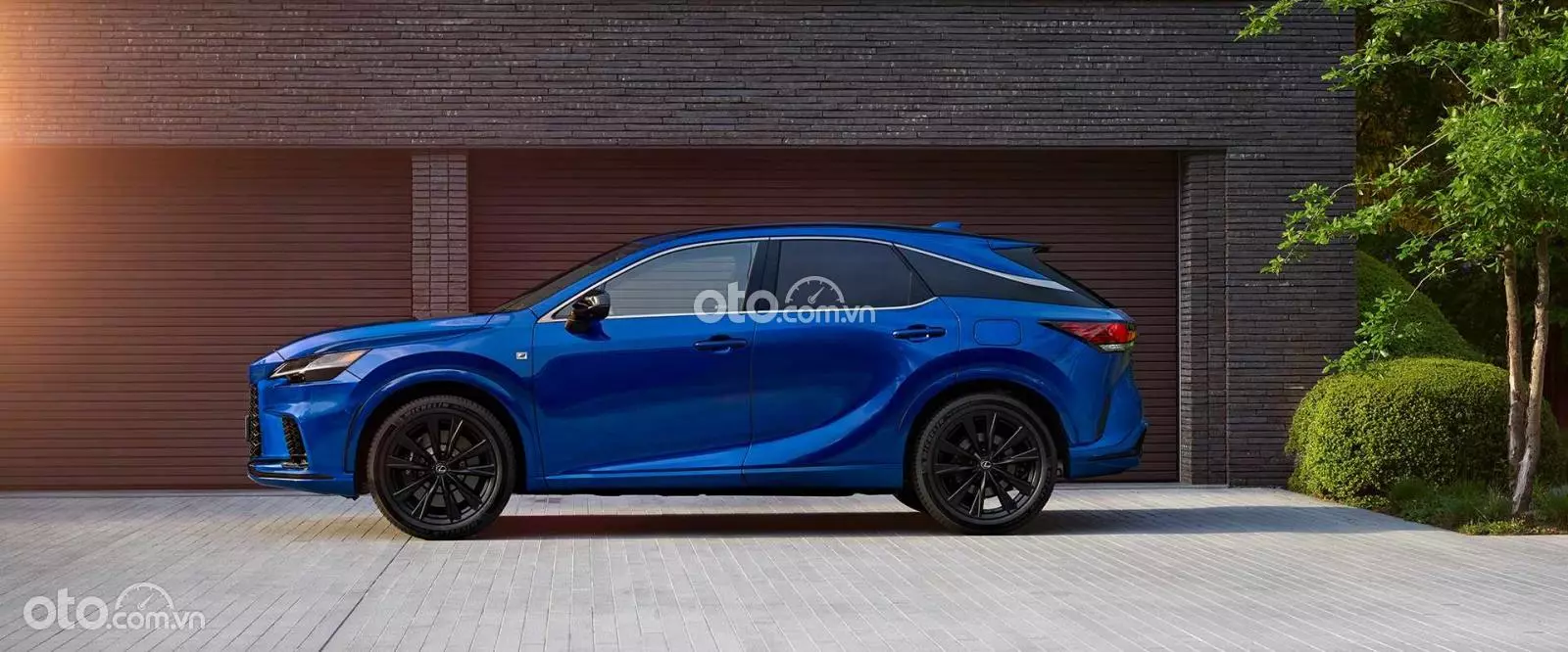 Thông số kỹ thuật xe Lexus RX 2023: Kích thước - Trọng lượng.