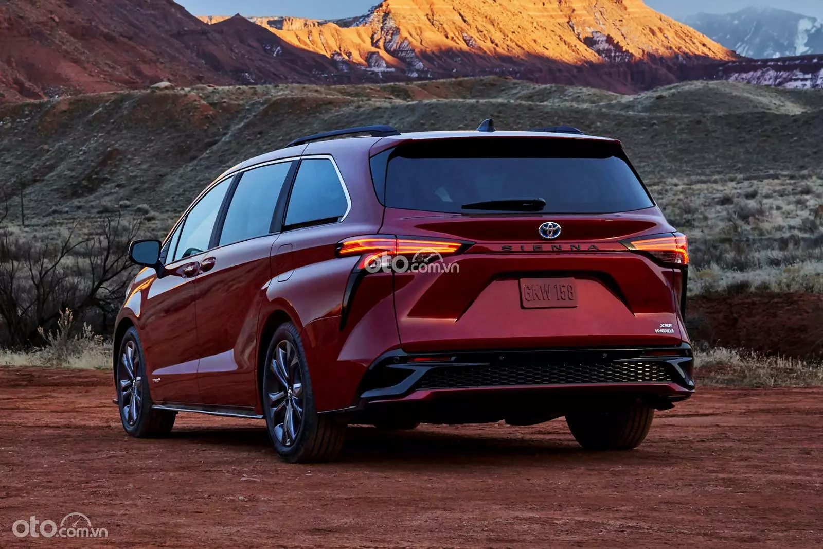 đuôi xe Toyota Sienna 2021.