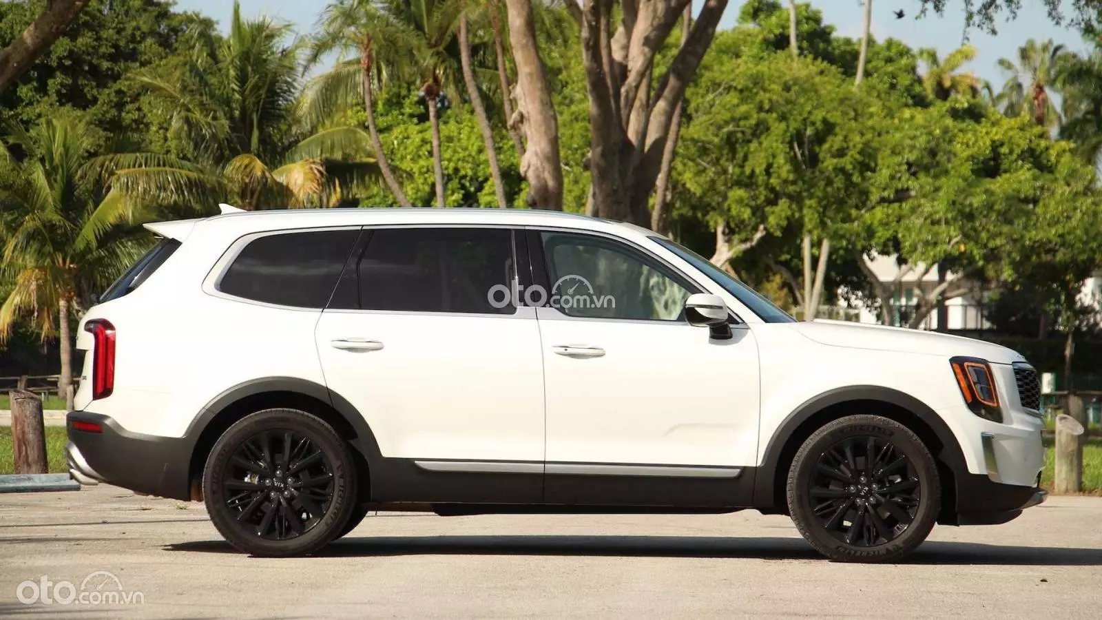 Thân xe KIA Telluride.