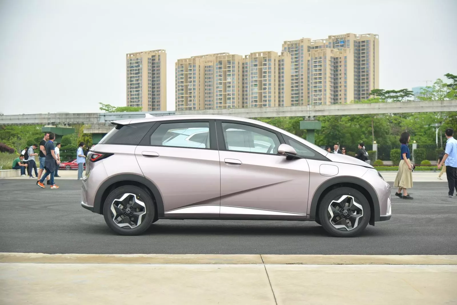 Thân xe BYD Dolphin.