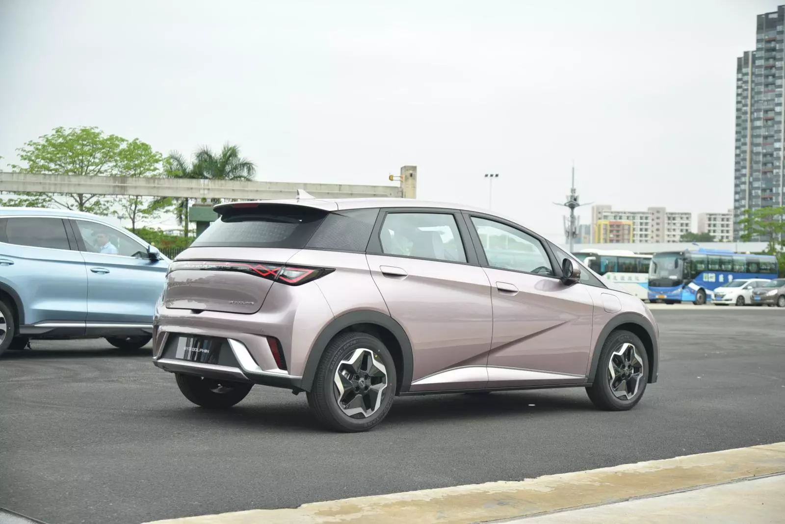 Hông xe BYD Dolphin.