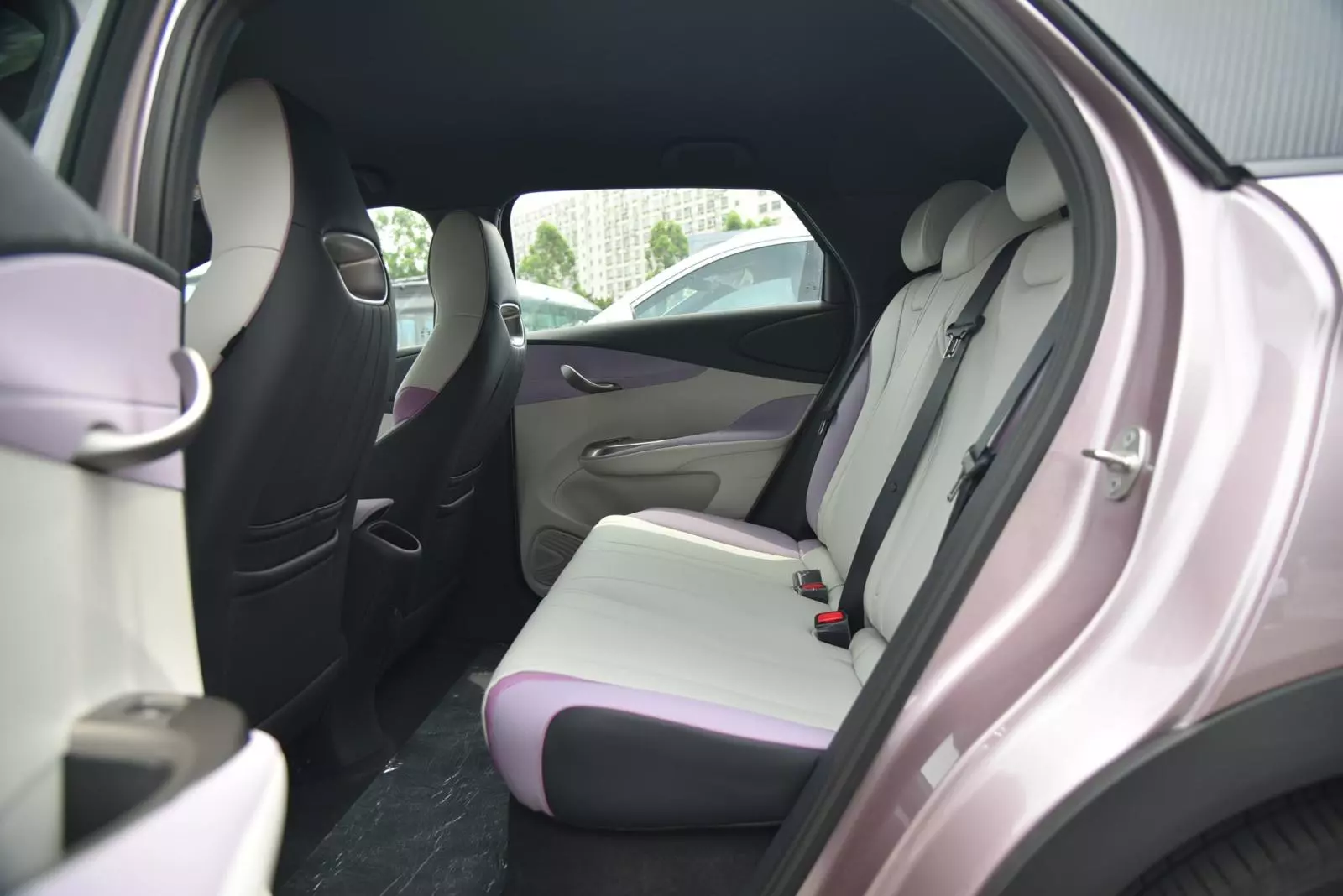 Hàng ghế thứ hai trên xe BYD Dolphin .