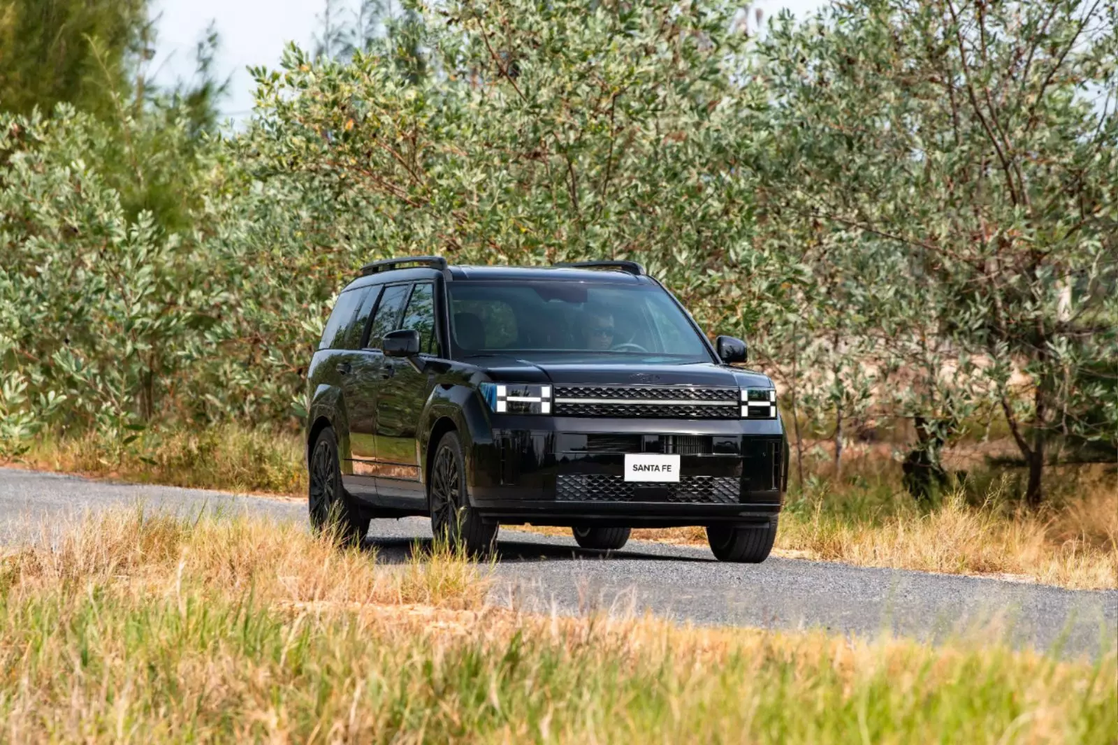 Hyundai Santa Fe Hyundai Santa Fe.