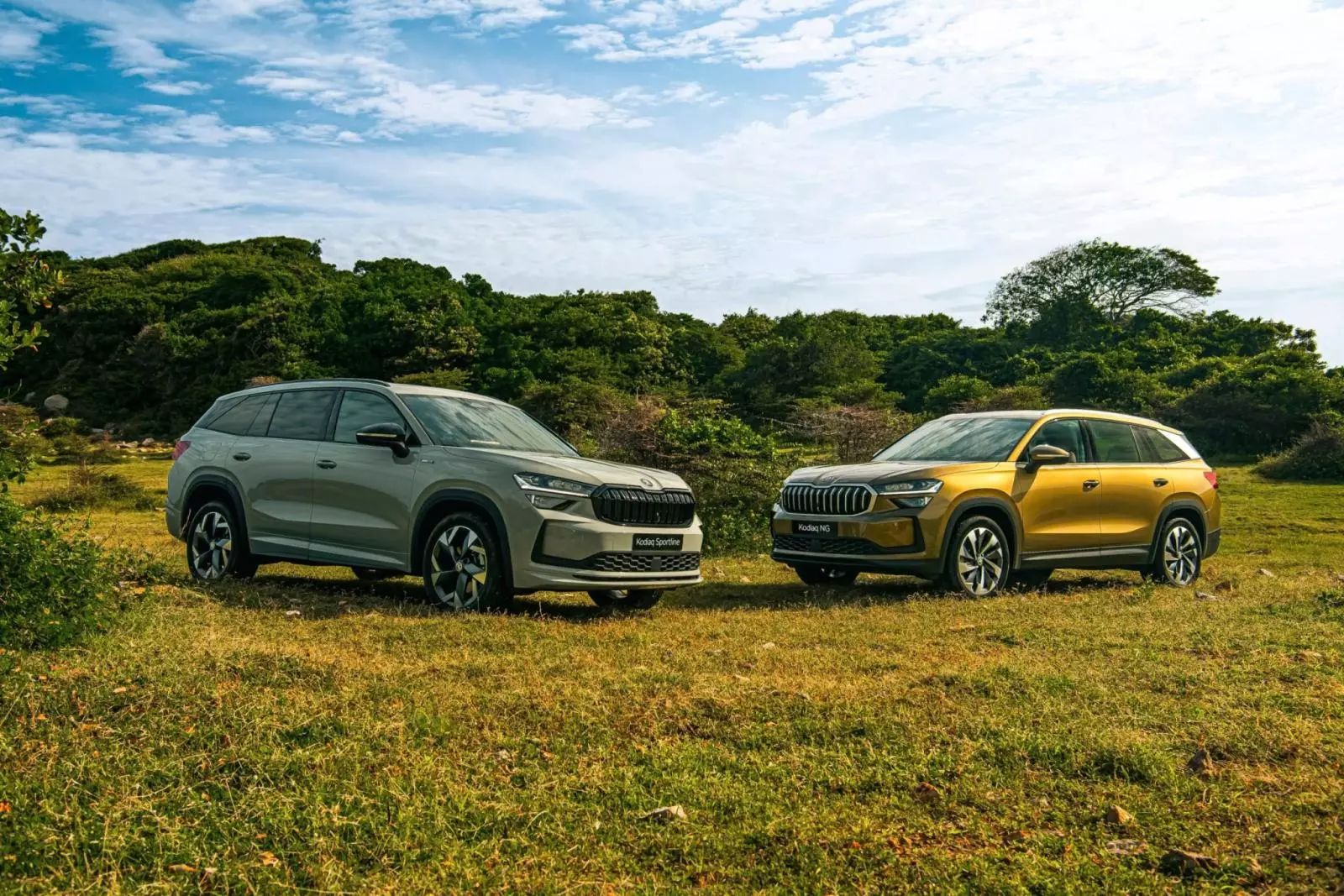 Skoda Kodiaq thế hệ mới .