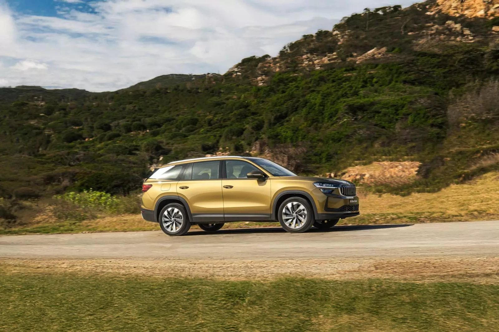 Thiết kế xe Kodiaq lấy cảm hứng từ sự vững chãi của loài gấu nâu Kodiak 1