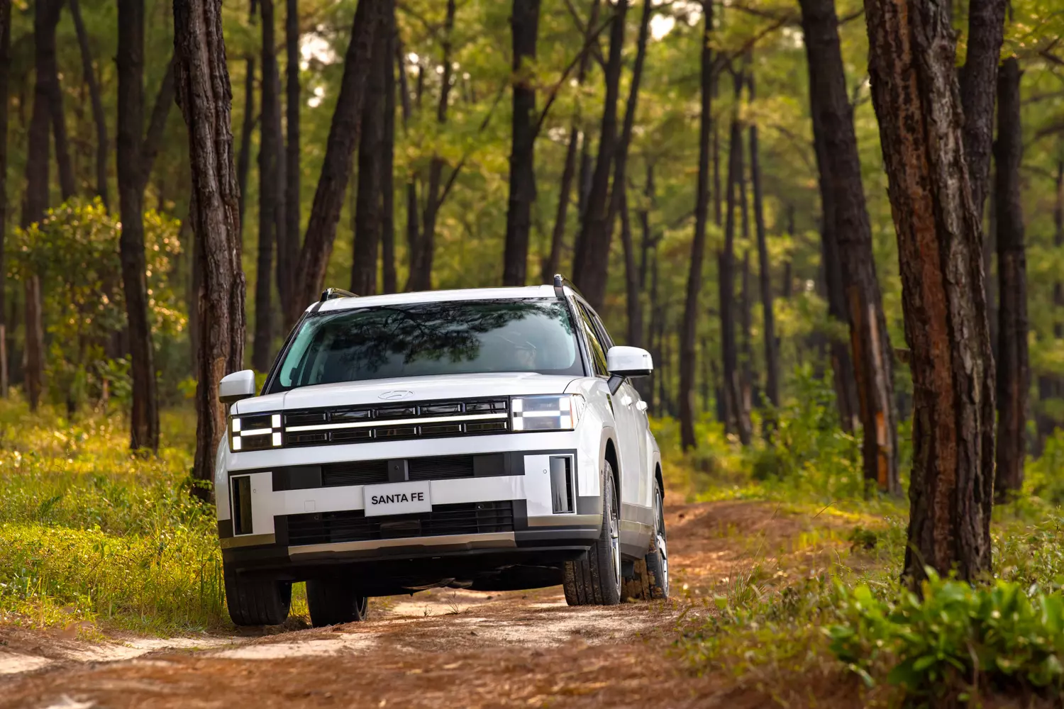 Hyundai Santa Fe giảm 215 triệu đồng 1