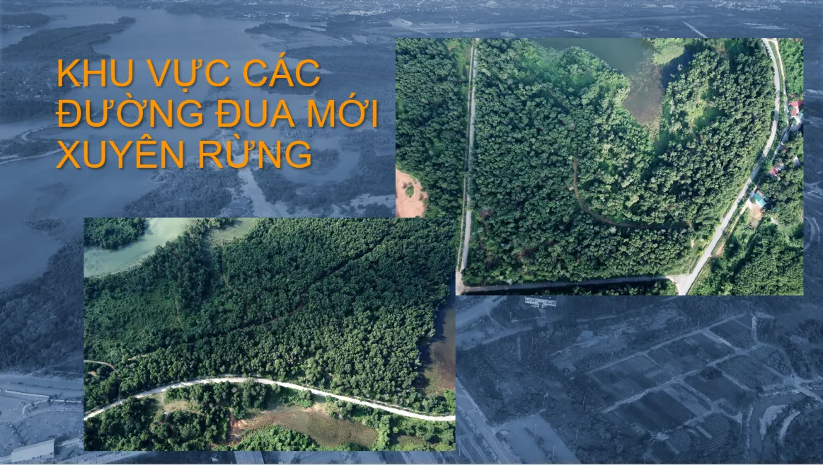 các đường đua mới xuyên rừng các đường đua mới xuyên rừng.