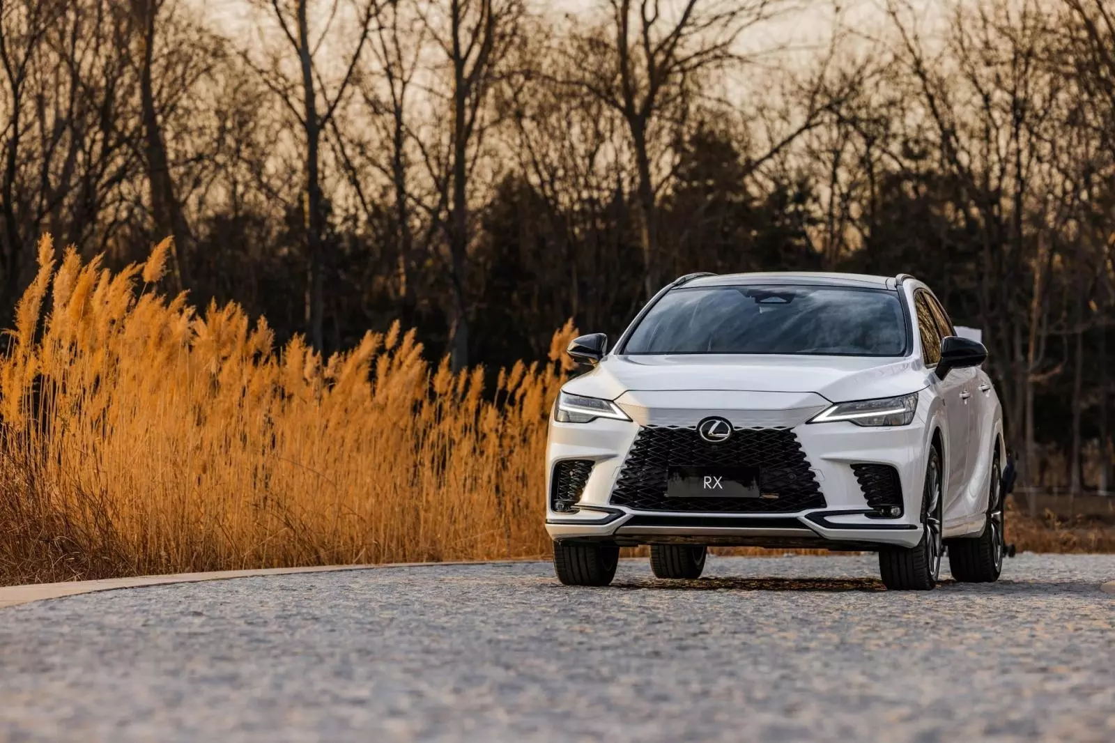 xe Lexus tại Việt Nam bị triệu hồi.