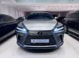 Lexus RX 350 Luxury Model 2024