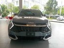 Mẫu xe được săn đón nhất hiện nay, giao xe ngay, đủ màu
