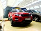 Xe zin đẹp chất