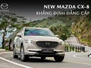 Xe 7 chỗ, ưu đãi 60 triệu trả trước 216, sẵn xe giao ngay tại Bình Định