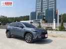 Xe cá nhân, biển tỉnh