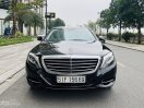 Xe cực mới