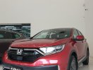 Phiên bản đặc biệt nên số lượng rất ít