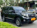 Xe nhập khẩu, máy xăng