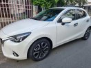 Xe gia đình sử dụng, nguyên zin