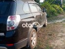 Captival maxx 2.4