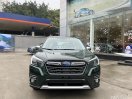 Sẵn xe giao ngay tại nhà, nhiều ưu đãi