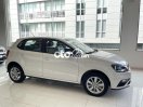 Volkswagen Polo Hatchback Trắng/Đen Tặng 100% TB