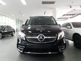 Mercedes-Benz V250 AMG 2023 - Màu đen, nhập khẩu