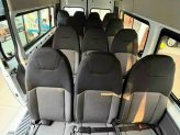 Ford Transit Tiêu chuẩn 2024 - [Giá Tốt] Tặng 2N bảo hành mở rộng