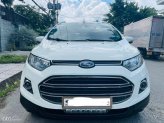 Ford EcoSport Titanium 1.5L AT 2016 - Xe màu trắng 