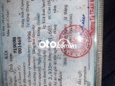 Ảnh số 13