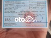 Ảnh số 11