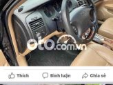 Ảnh số 17
