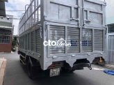 Ảnh số 11