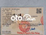 Ảnh số 17