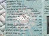 Ảnh số 10