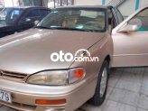 Ảnh số 8