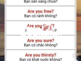 Ảnh số 8